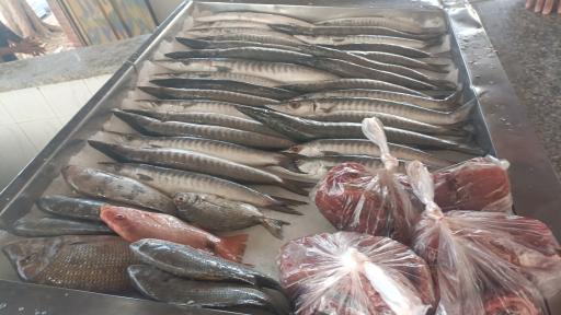 عکس ماهی فروشی