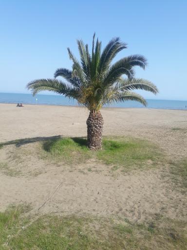 عکس اسکله مجتمع کوثر 