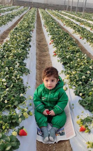 عکس گلخانه محمدحسین صوفیجان