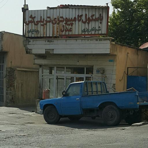 عکس باسکول عدل