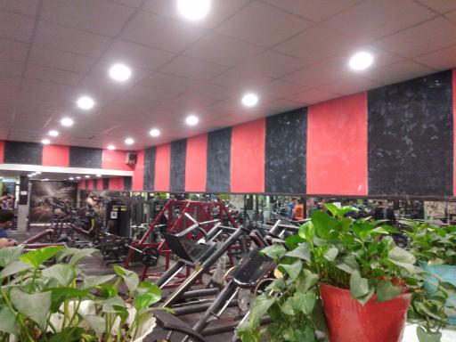 عکس باشگاه اکسیر 