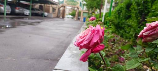 عکس دبیرستان نمونه دکتر حسابی