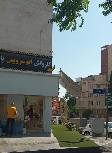 عکس کارواش زمرد