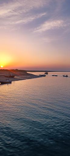 عکس جنگل های حرا