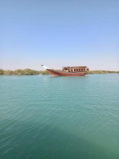 عکس جنگل های حرا