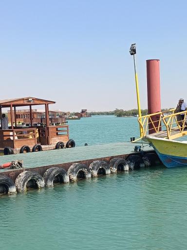 عکس جنگل های حرا