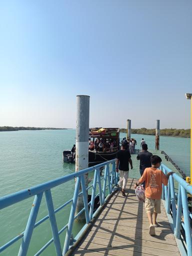 عکس جنگل های حرا