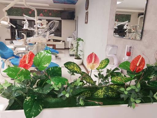 عکس دندانپزشکی دکتر مهدی حقانی