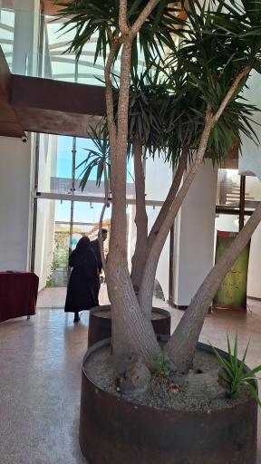 عکس رستوران محمد