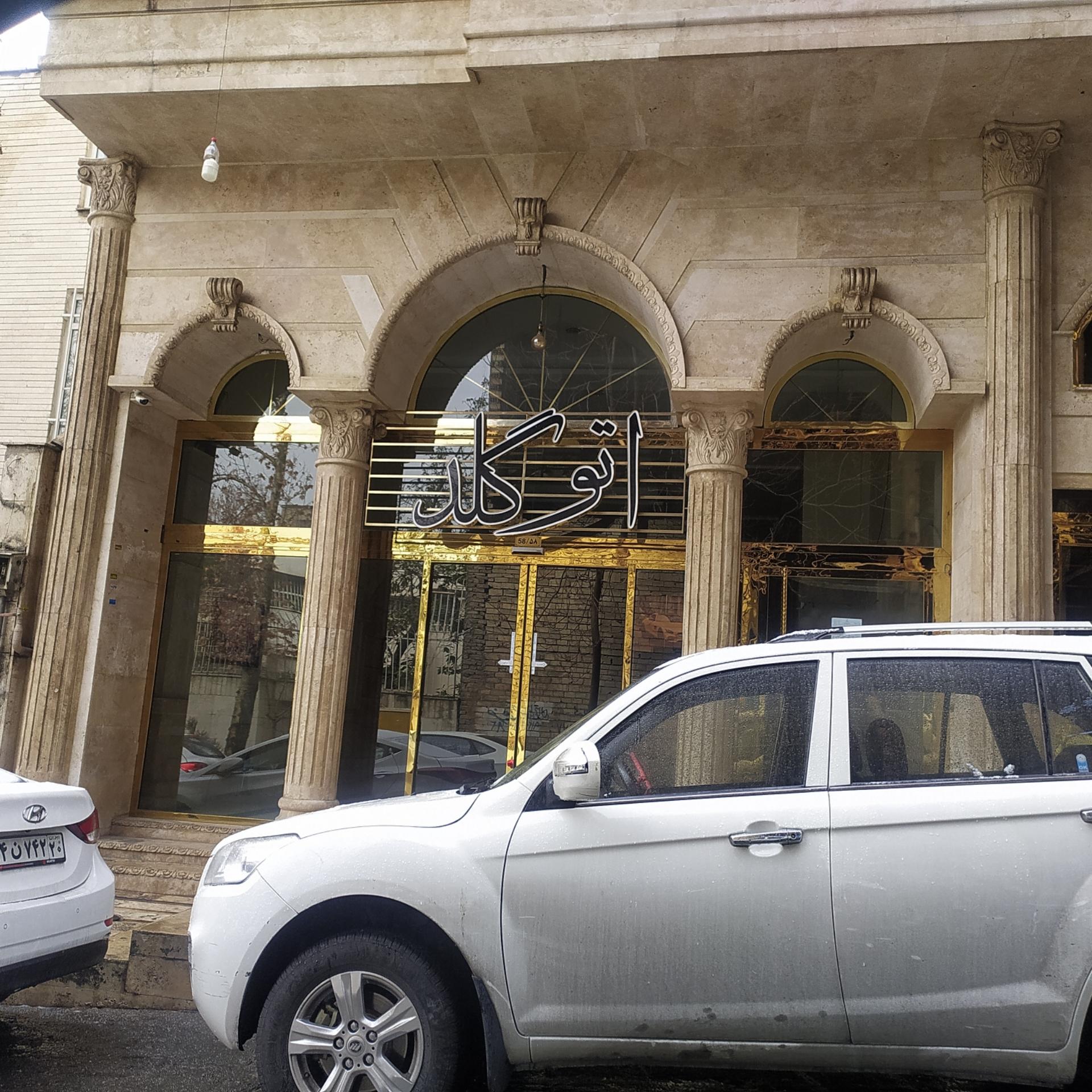 عکس اتو گلد 