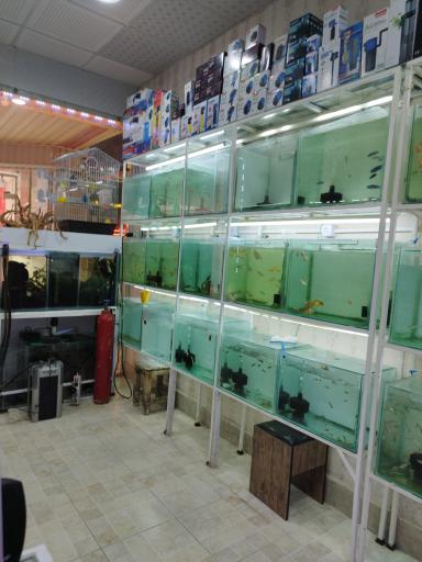 عکس اکواریوم ونیز