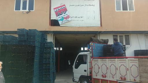 عکس سبد سازی حافظ 