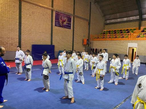 مجموعه ورزشی کوثر