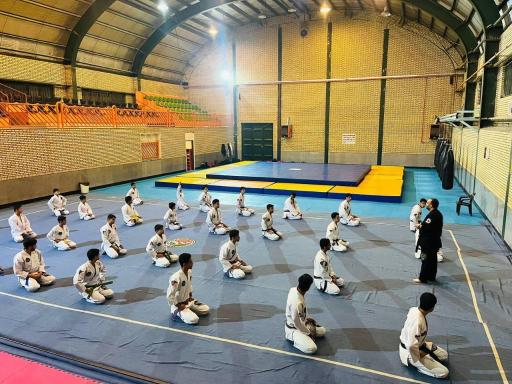 مجموعه ورزشی کوثر