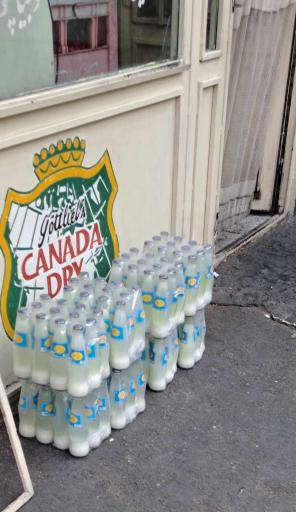 عکس دیزی سرای ناصرخان