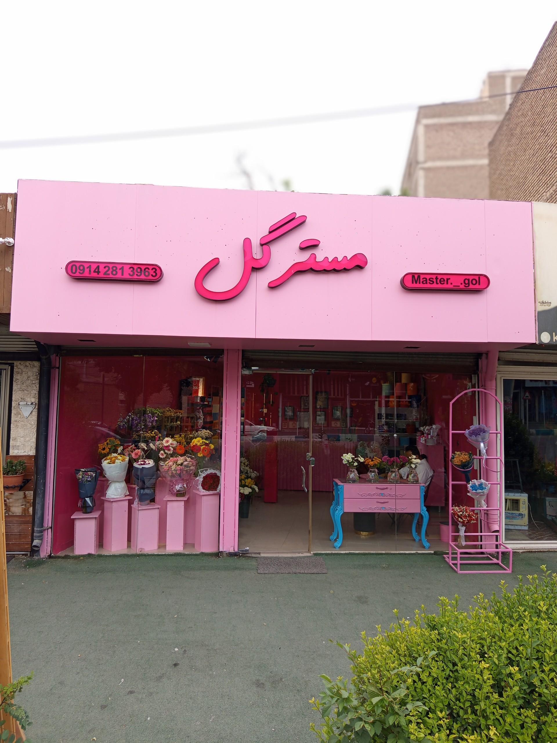 عکس مستر گل