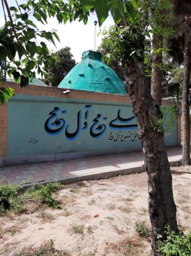 عکس امام زادگان علی و قاسم (ع)