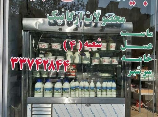 عکس لبنیات آبتین (شعبه۴)