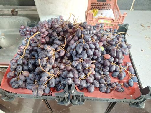 عکس میوه و سبزی آتش