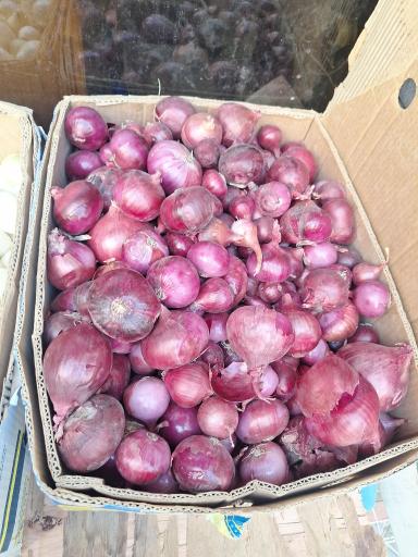 عکس میوه و سبزی آتش