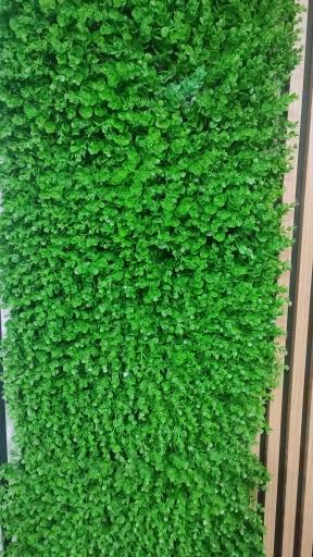 عکس پخش چمن مصنوعی نوین