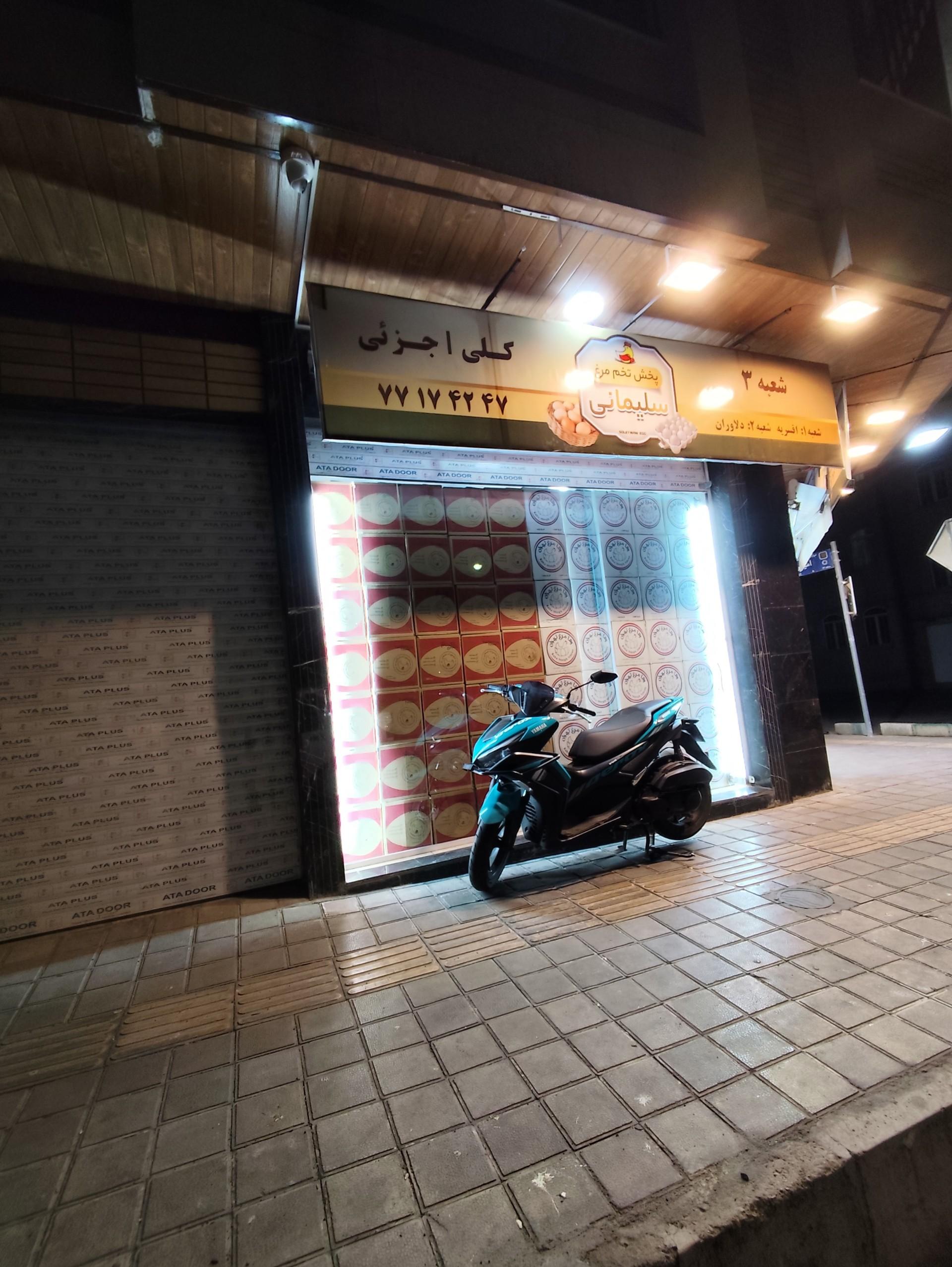 عکس پخش تخم مرغ سلیمانی