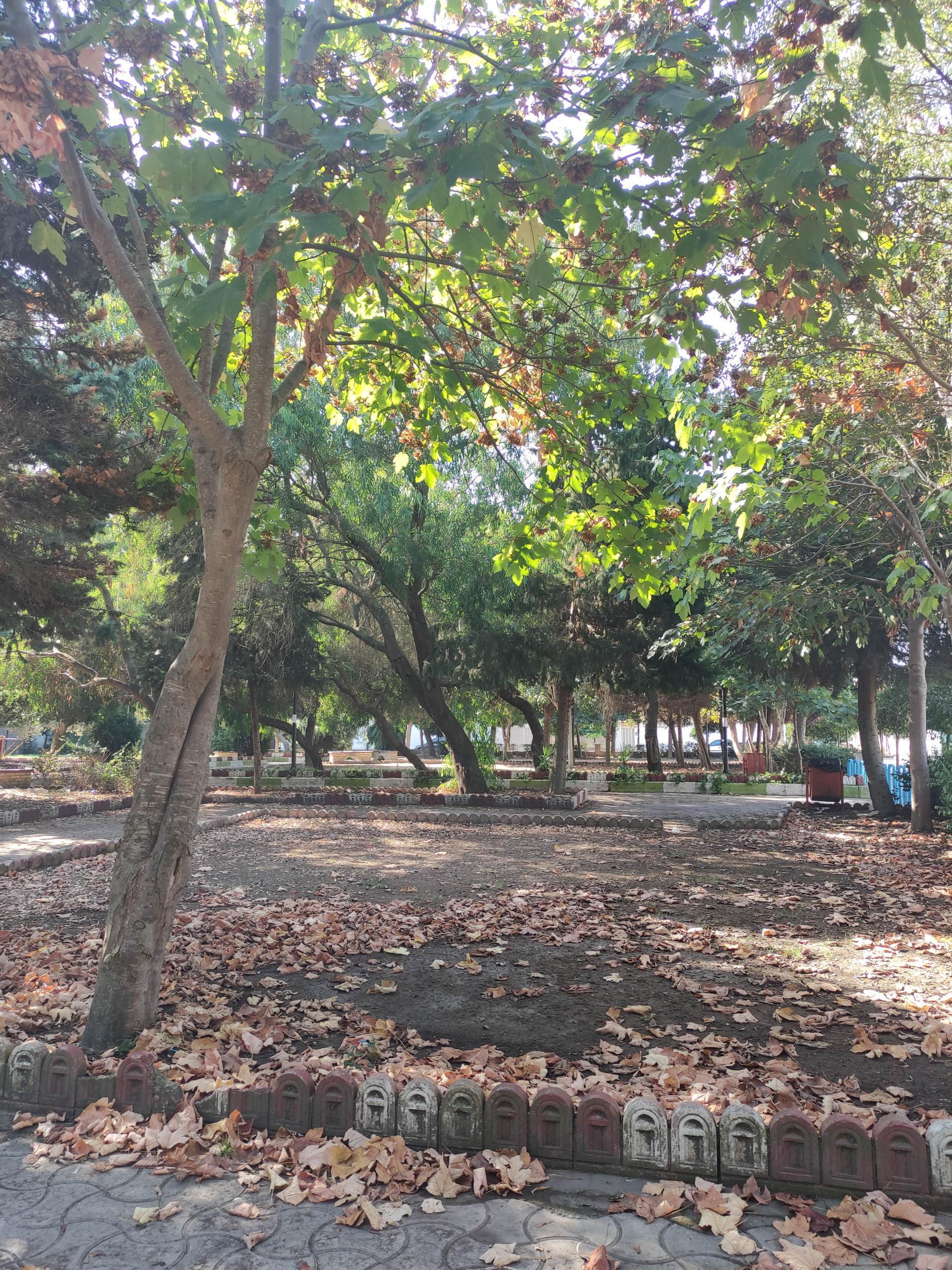 عکس بوستان رستا