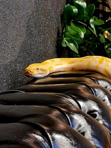 عکس مبلمان اداری سی رن 