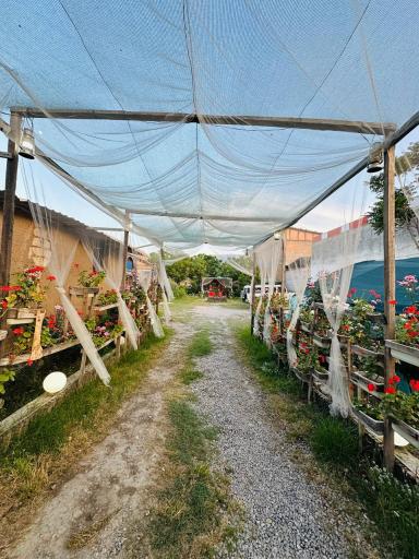 کافه و خونه باغ سینا