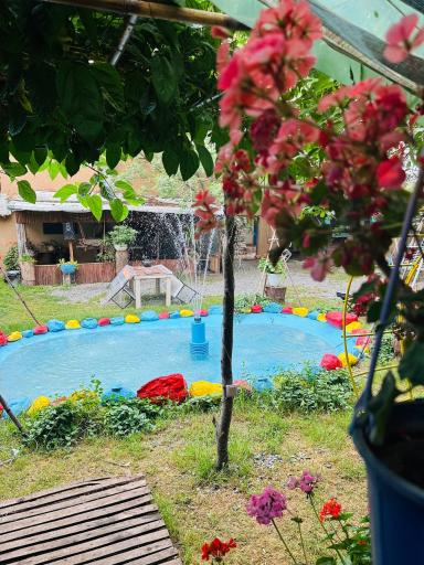 عکس کافه و خونه باغ سینا