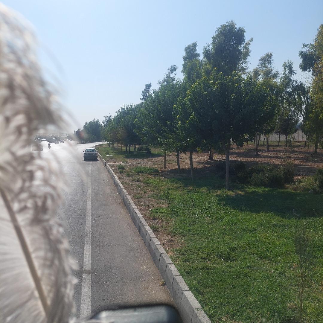 عکس بوستان میدان میوه و تره بار مرکزی تهران