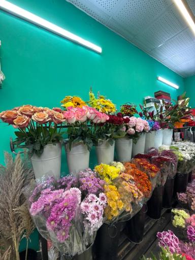 گلفروشی گلستان سعدی 