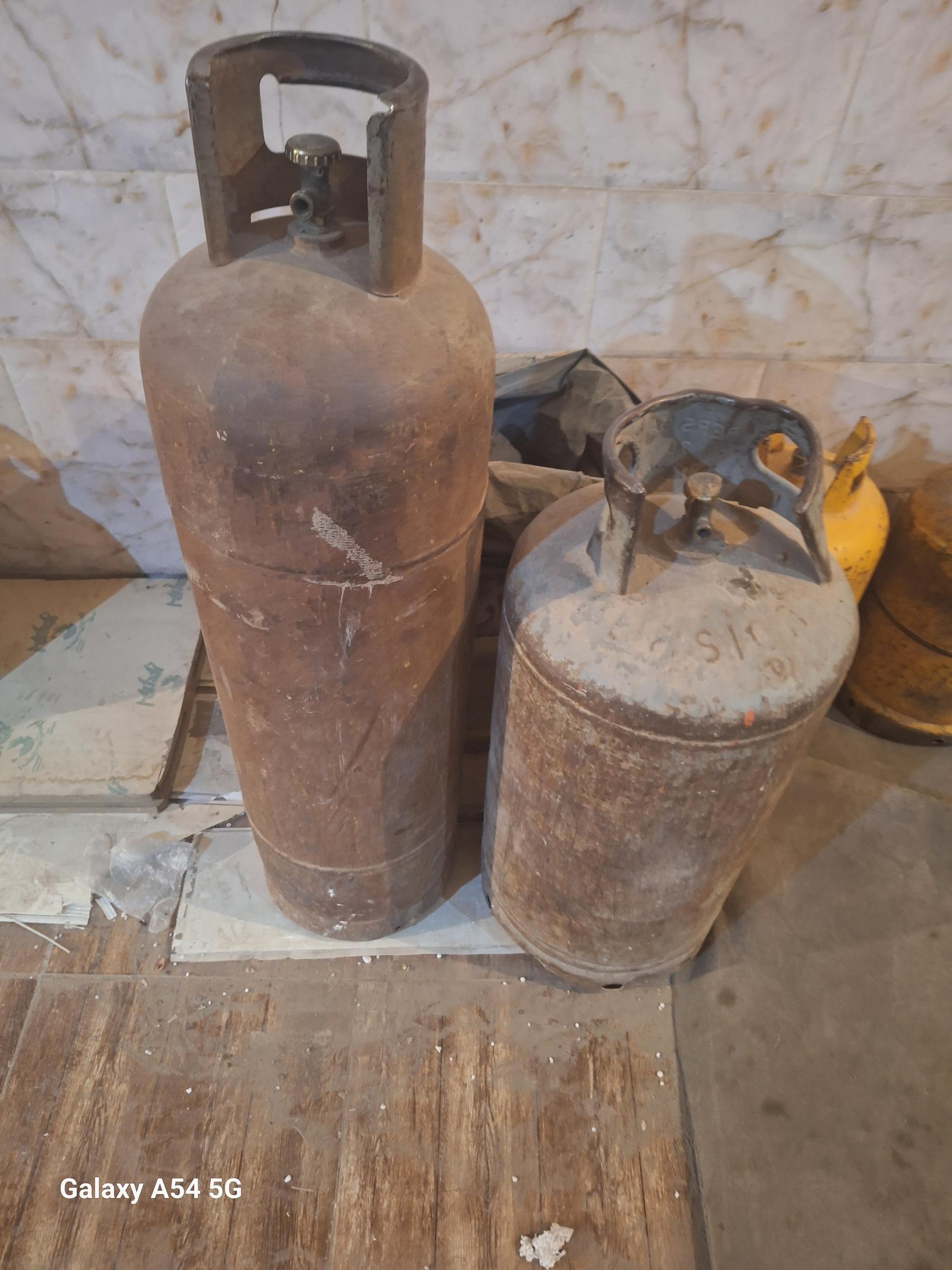 عکس پیک نیک پر کنی و توزیع کپسول