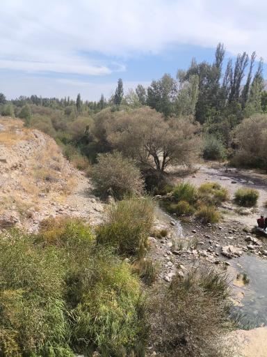 عکس طاهره خاتون