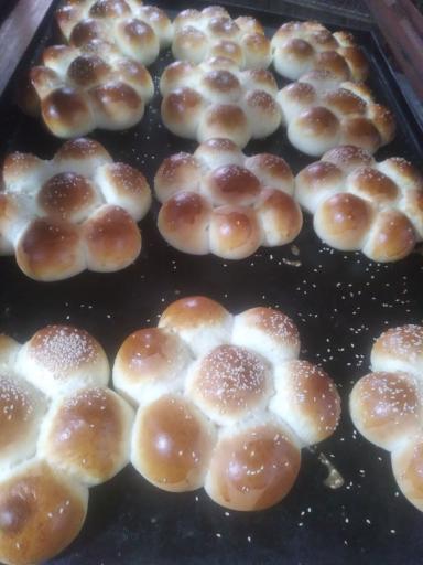 عکس نان فانتزی و پروتئینی بهشت نان