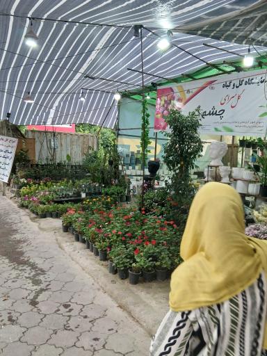 عکس نمایشگاه گل و گیاه میلاد