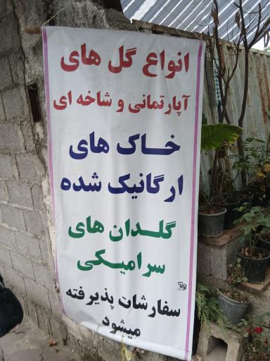 عکس نمایشگاه گل و گیاه میلاد