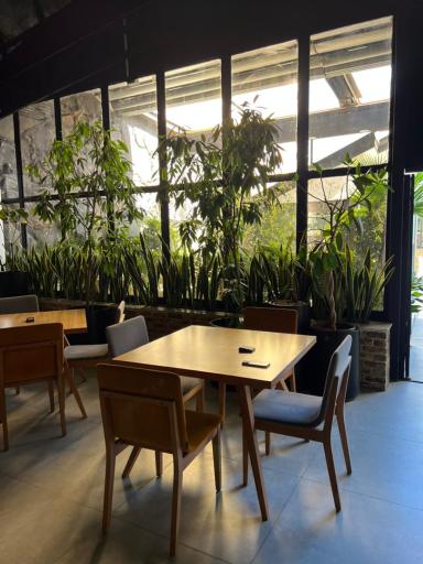 عکس مجموعه غذایی و کافی شاپ مهان