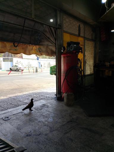 عکس مکانیکی و جلوبندی و هیدرولیک مرتضی