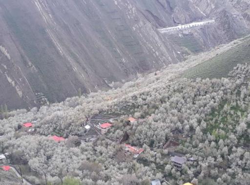 عکس روستای تالون