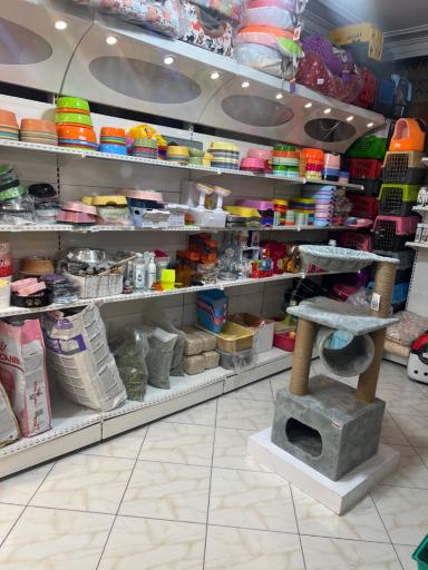 عکس کلینیک دامپزشکی آلفا