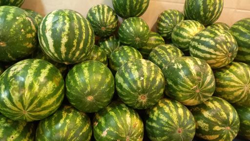 عکس میوه فروشی روانش