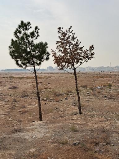 عکس حسن آباد