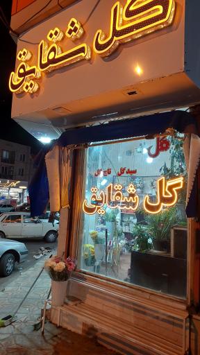 عکس گل فروشی شقایق