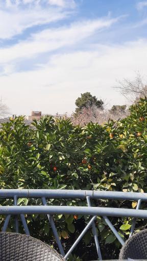 عکس رستوران باشگاه دانشگاه