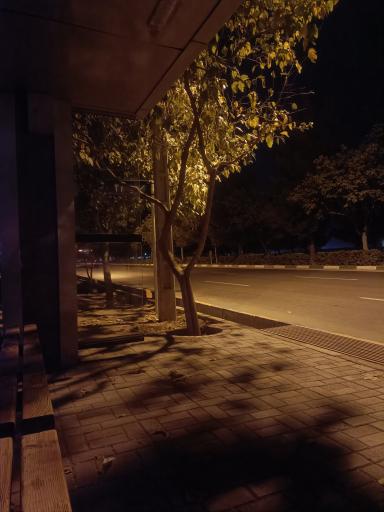 عکس  مهدیه 21