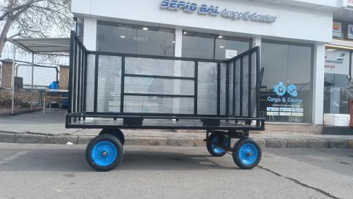 عکس شرکت سپیدبال امید 