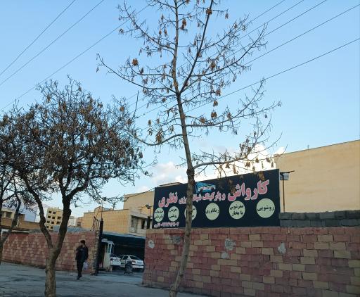 عکس کارواش نظری