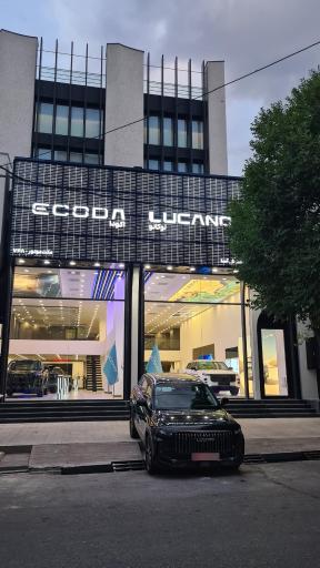 عکس نمایندگی رسمی لوکانو کد 748