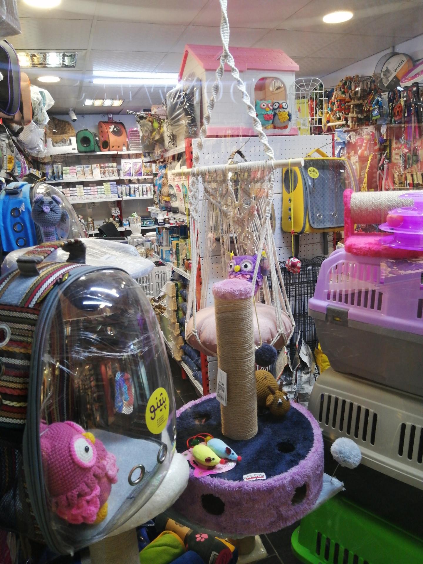 عکس پت شاپ پتینو